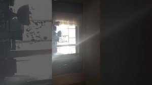 как. как моя камера засекла дарика, и он сказал плохие слова про подписчиков????????????¿??????