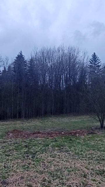 VID_20260425_201029.mp4