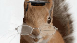 Бельчонок Дёма с Академа_Стендап номер 1