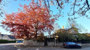 A/B Pair: The Last Time I Saw You