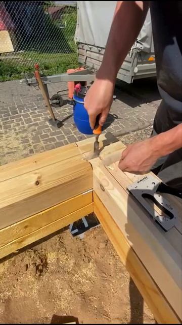 Если б не клин и не мох. Про теплый угол и полласточкиного хвоста