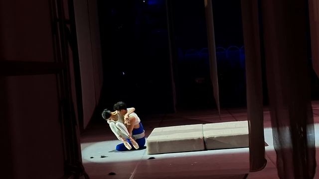 Гуанчжоуская акробатическая труппа. 