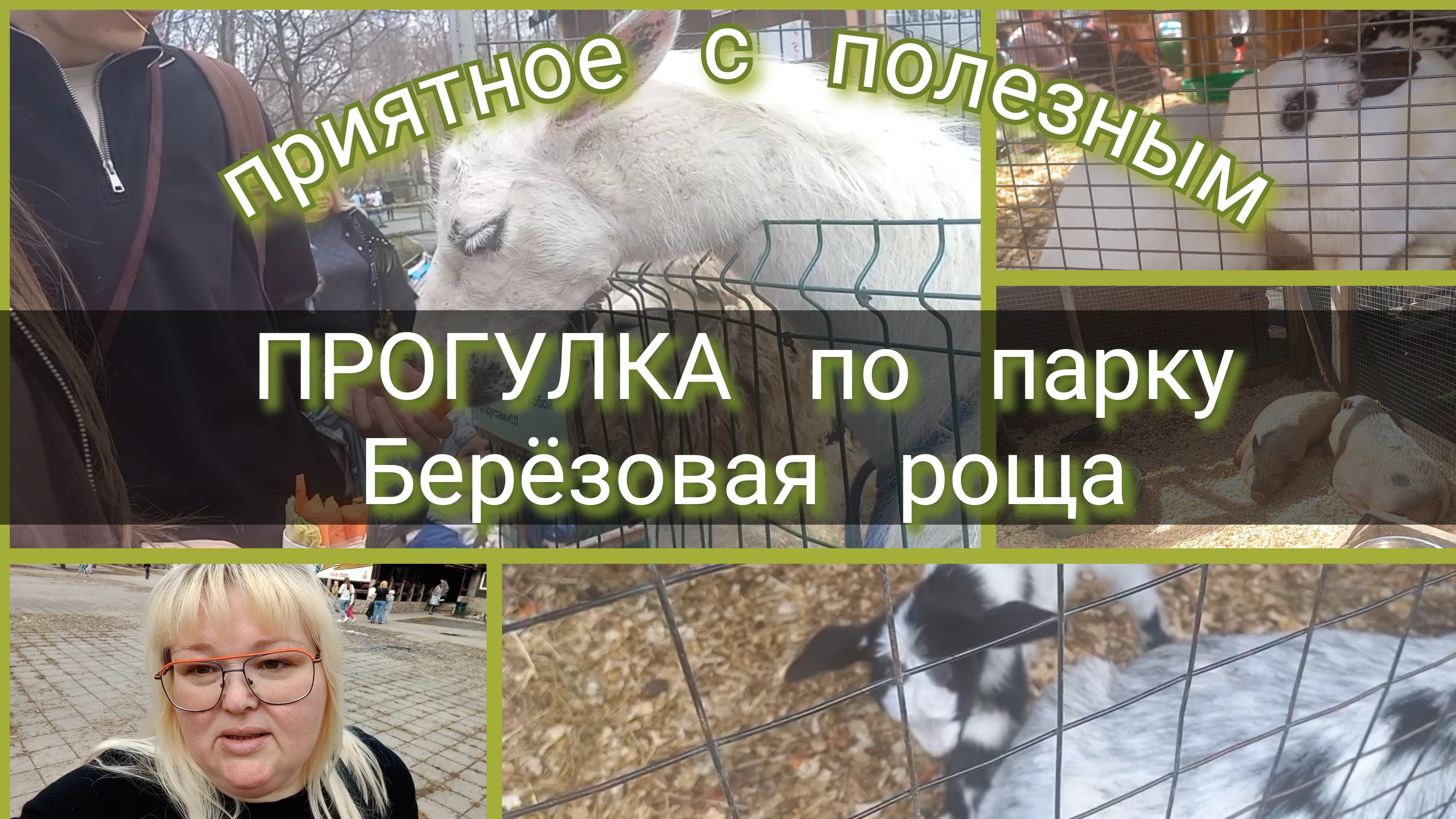 прогулка по паркумини зоопарк