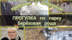 прогулка по парку//мини зоопарк
