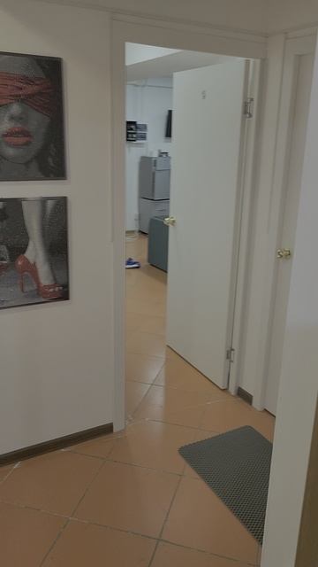 Офисы пер.Луначарского д.4