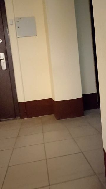 1к. Шаляпина, д. 31 В