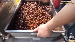 Самый экстремальный рынок в Китае! От живых крокодилов до хрустящей свинины.