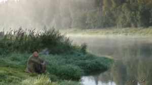 Таволга - Иван Кучин