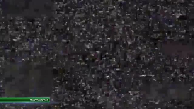 События СВО 24 апреля