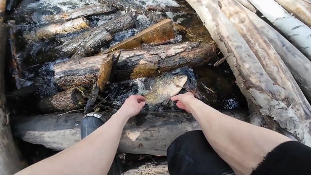 Рыбалка в мелком ручье.