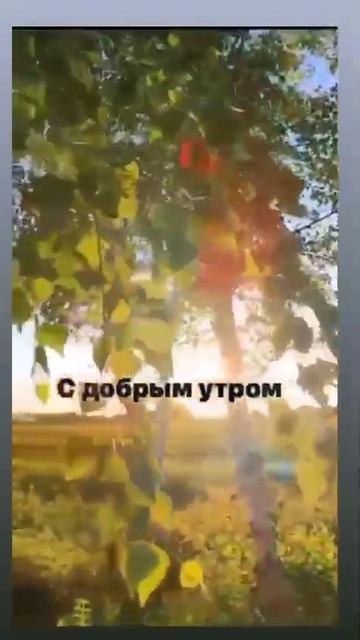 VID_20260425_174928_491.mp4