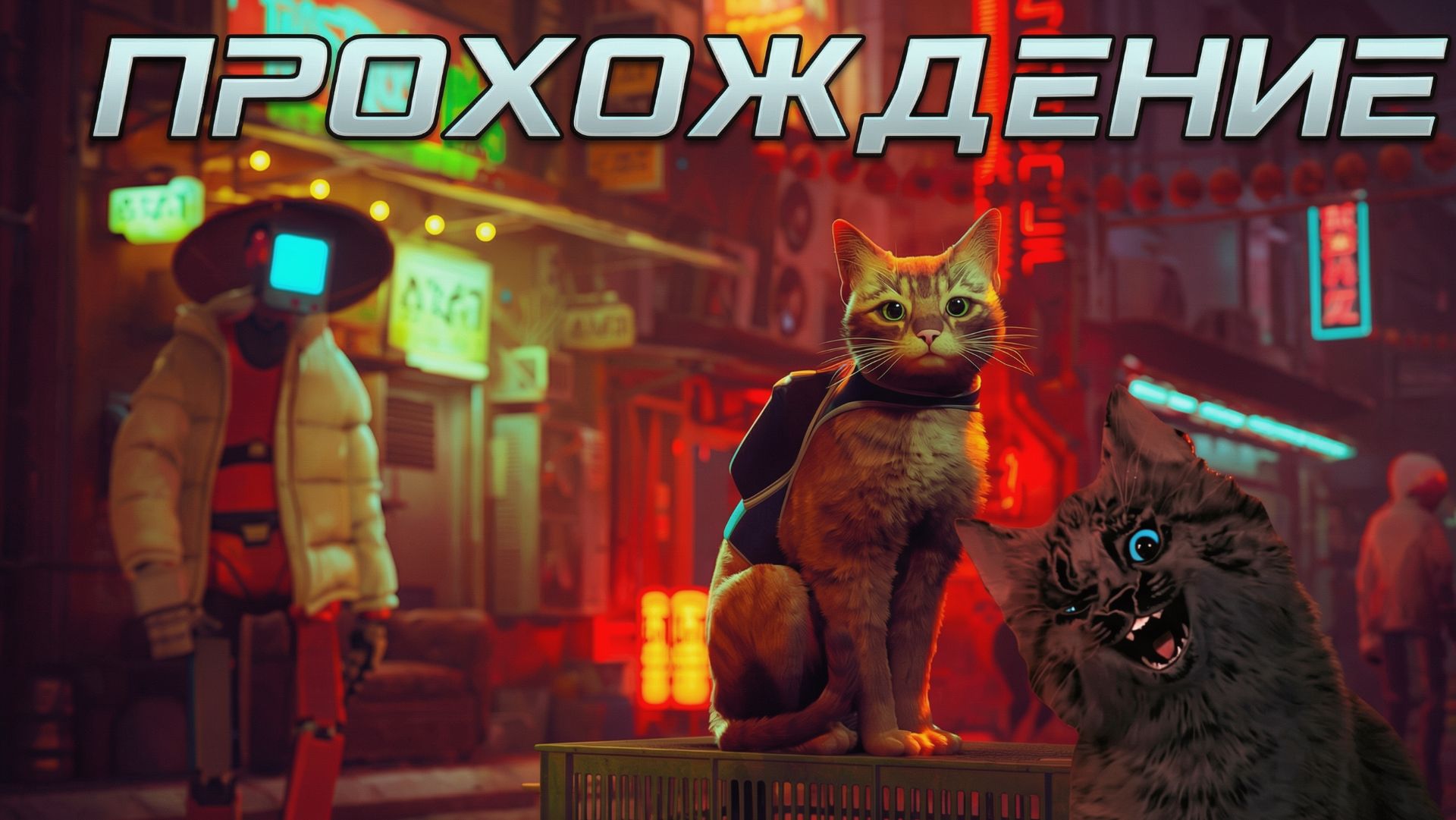 Кошачий переполох | STRAY