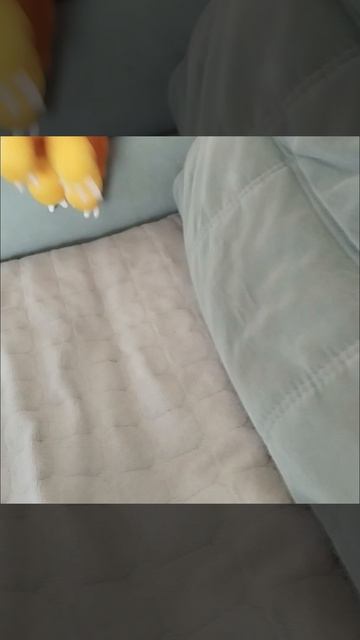 ярнабы👹👹😈