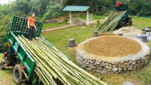 Строю новый каменный дом. Возведение фундамента и колонн дома. Привезла бамбук. Серия 58. Се