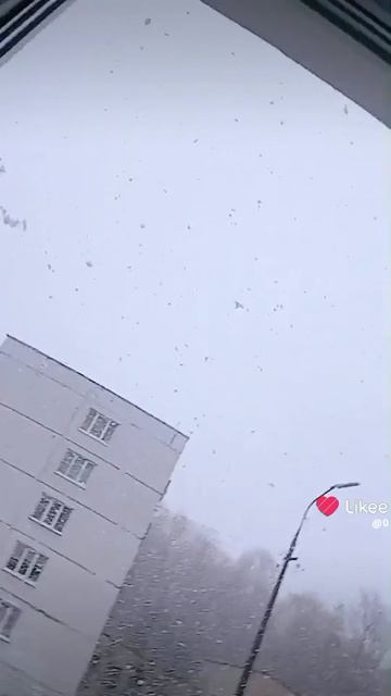 25 апреля 2026 год шок Выборг снег