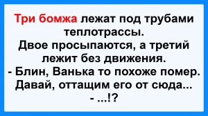 Три бомжа лежат на теплотрассе. Пикантные, Смешные, Остренькие, Жизненные Анекдоты! Юмор! Позитив!