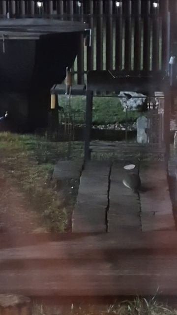 Отдых на берегу озера.