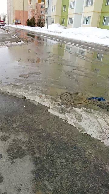 во что превращается мой друг когда я гуляю