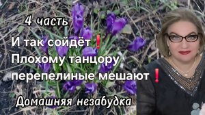 4 часть. И так сойдёт❗️Плохому танцор перепелиные помешали❗️