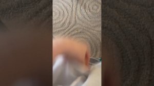 Видео-объявление-обзор с Егором )