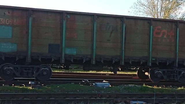 VID_20260425_175402.mp4