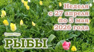 РЫБЫ | ТАРО прогноз на неделю с 27 апреля по 3 мая 2026 года