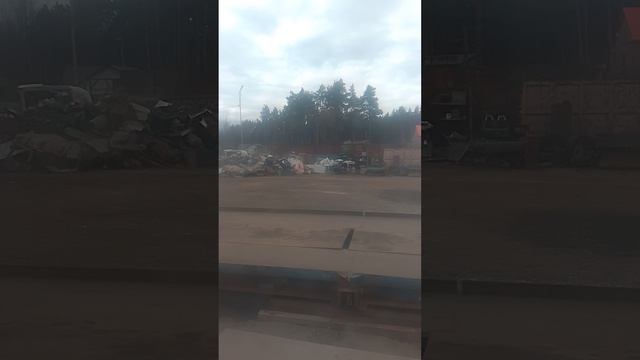 нашумевшее