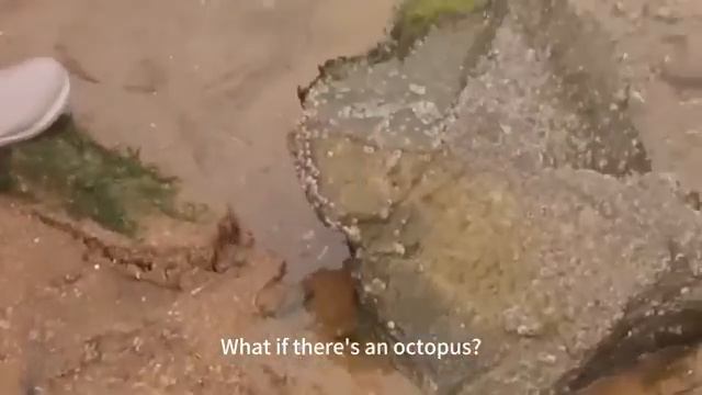 Небольшая глава 