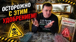 Какое удобрение губит рассаду томатов и перцев (и чем его заменить).