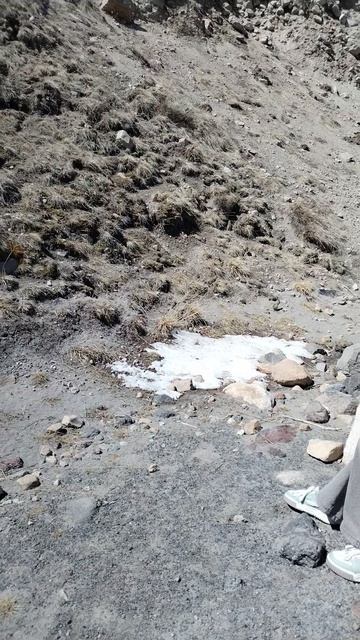 суслики проснулись