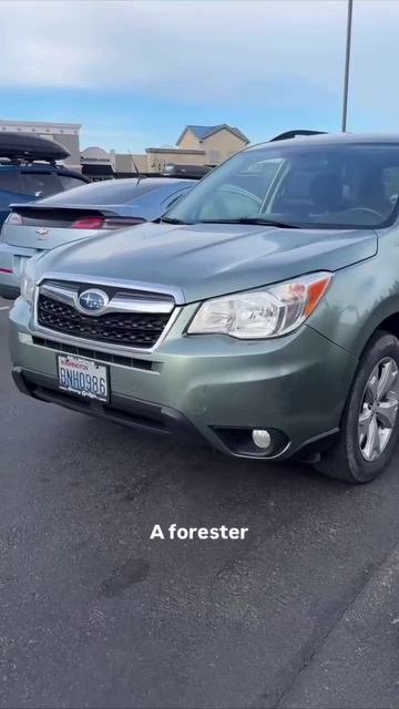 Говорят, во Владивостоке также.