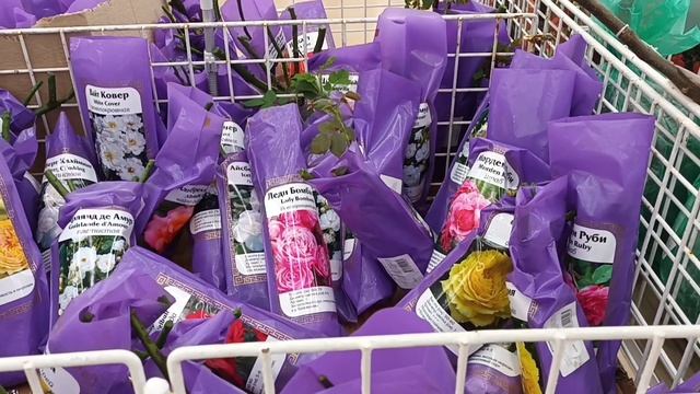 Бегом в магазин за розами