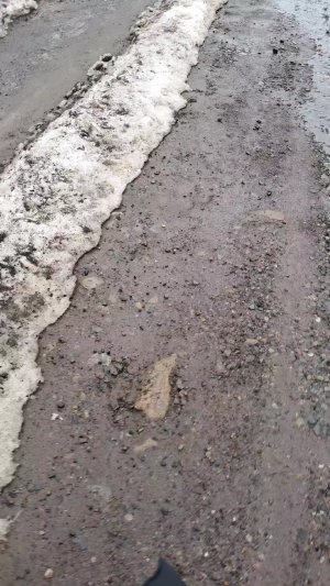 ого какие красивые камни🥰❤️🔥