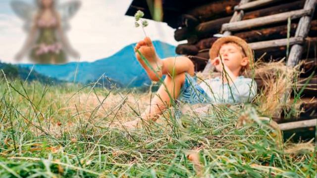 Долгий путь домой!