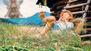 Долгий путь домой!