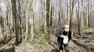 Грибной МИКСТ после снегопада ! Грибы 2026 !