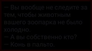 Как_Вовочка_Увидел_Директора_и_Библиотекаршу_на_Диване!_Сборник