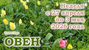 ОВЕН | ТАРО прогноз на неделю с 27 апреля по 3 мая 2026 года