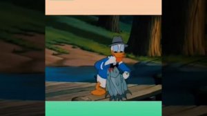 Весенний шум