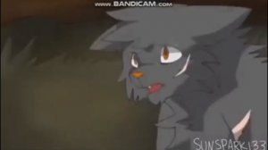 !!! ОСТОРОЖНО КР@ВЬ!!! Эдит Щербатая коты-воители