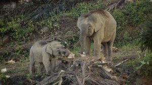 АЗИЯ 4 серия «Сплетённые миры»