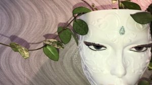 Фитильный полив, пересадка, подготовка грунта. Цветение орхидей, все смешалось🫣