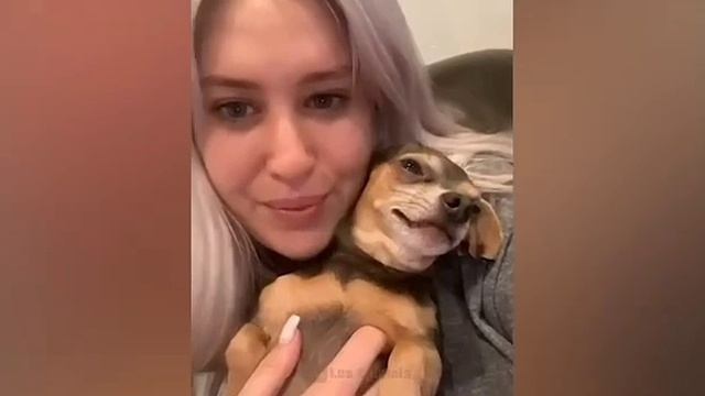 СМЕШНЫЕ КОТЫ 😺 2026 ЛУЧШИЕ ПРИКОЛЫ С КОТАМИ ,КОШКАМИ ,ЖИВОТНЫЕ,СМЕШНЫЕ ВИДЕО