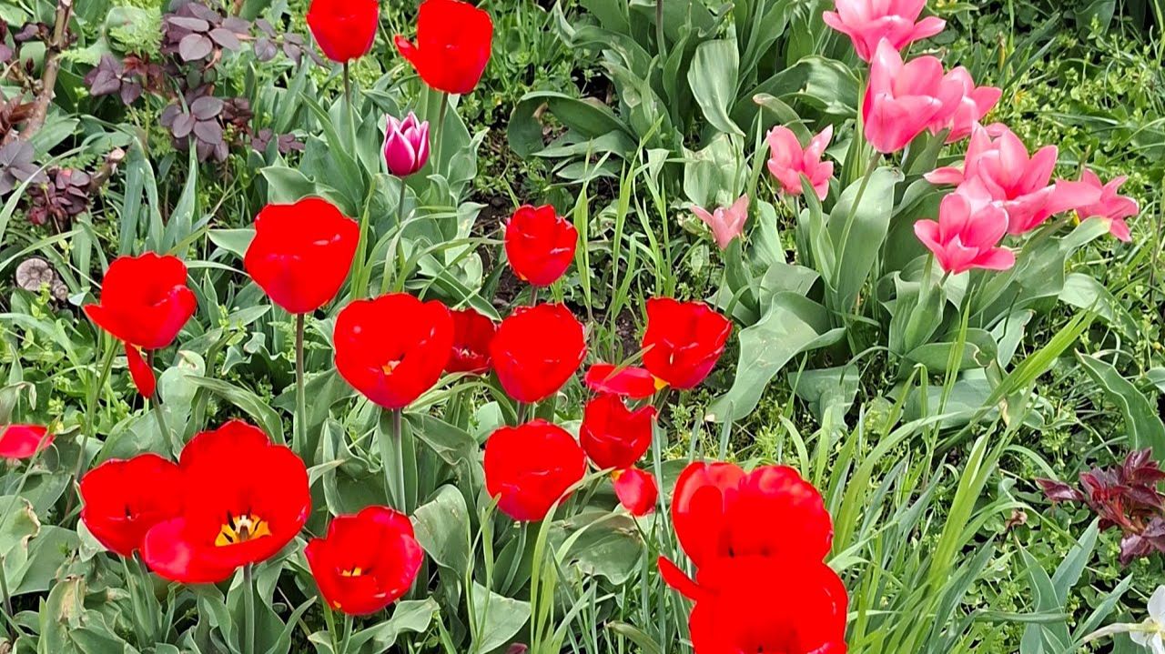 ОФИЦИАЛЬНО Я- Решила СЕБЯ ПОРАДОВАТЬ