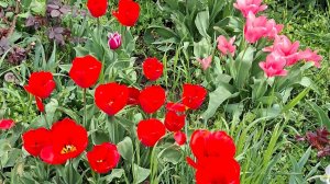 ОФИЦИАЛЬНО Я- Решила СЕБЯ ПОРАДОВАТЬ