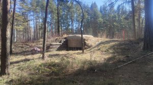 Предыстория о ДОТе номер 101 возле Приморского шоссе в Сестрорецке. Ленобласть. Часть 2-я.