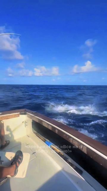 Какая рыба хорошо клюет весной?