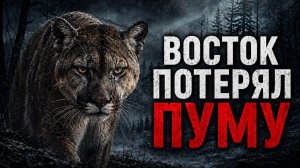 Как восток потерял свою пуму