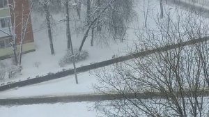 Снег за окном (снимал 6-го Апреля, 2025 г)