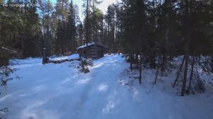 Поход в лес. Нашёл избушку. Лоси убежали из под носа. 09.04.26